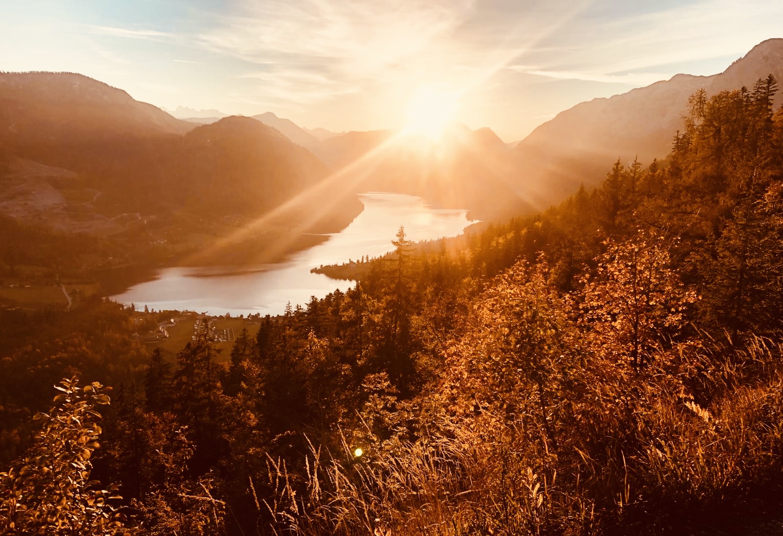 GOLDENES HERBSTLICHT
